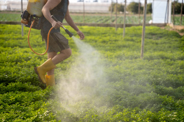 Best Pest Removal Services  in La Ada Flintridge, CA
