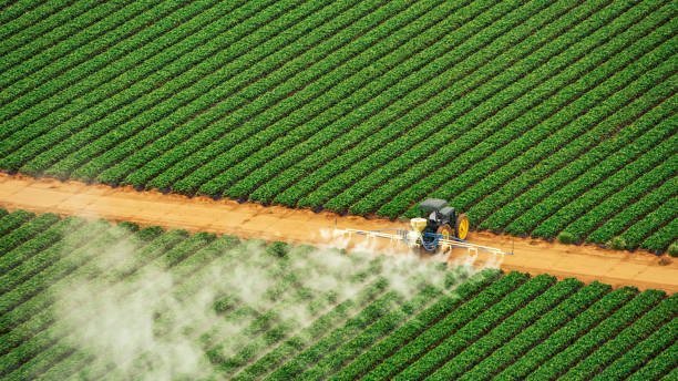 Best Commercial Pest Control Services  in La Ada Flintridge, CA