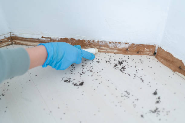 Wildlife Control Services in La Caada Flintridge, CA